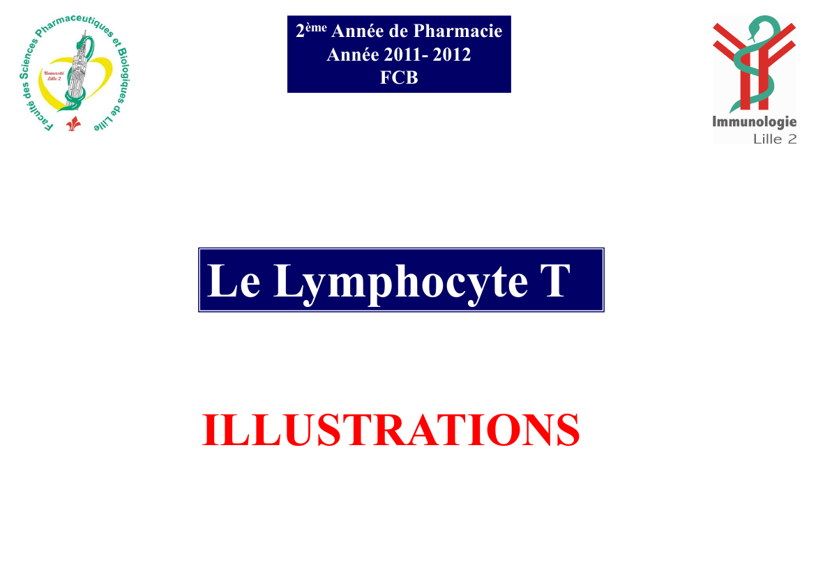 Prévisualisation du document 2ème Année de PharmacieAnnée 2011- 2012FCBLe Lymphocyte TILLUSTRATIONS Complexe TCR /