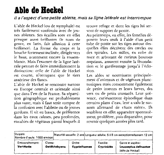 Prévisualisation du document Able de Heckel:Il a l'aspect d'une petite ablette, mais sa ligne latérale est interrompue.