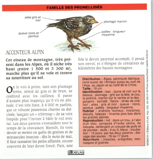 Prévisualisation du document ACCENTEUR ALPIN