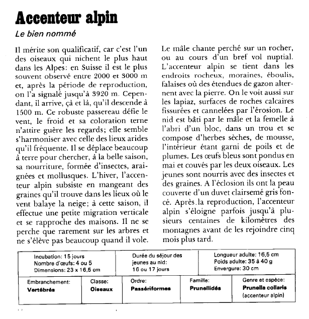 Prévisualisation du document Accenteur alpin:Le bien nommé.