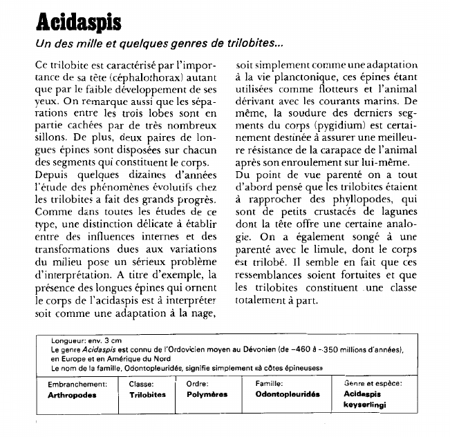 Prévisualisation du document Acidaspis:Un des mille et quelques genres de trilobites.