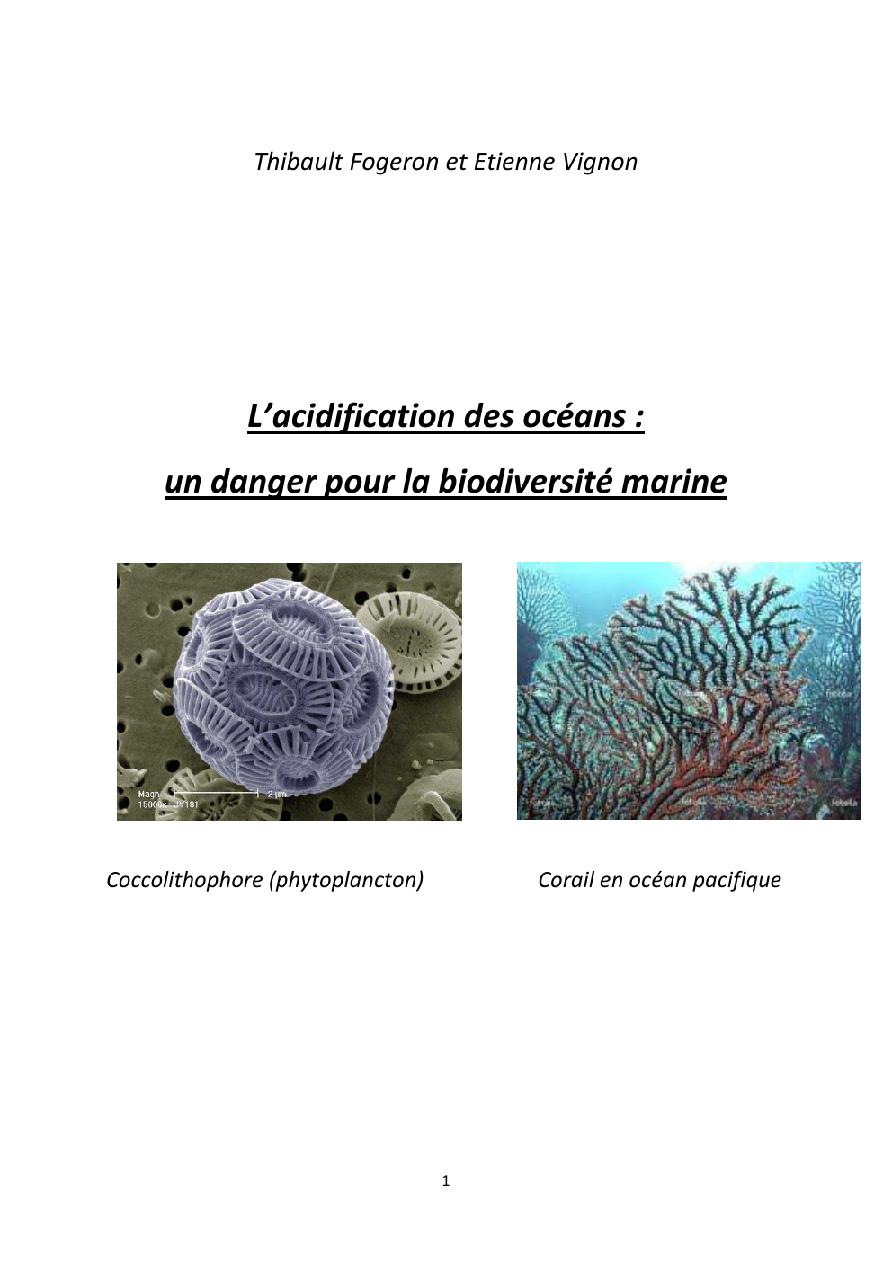 Prévisualisation du document acidification