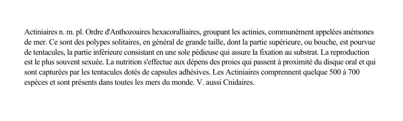 Prévisualisation du document Actiniaires n.