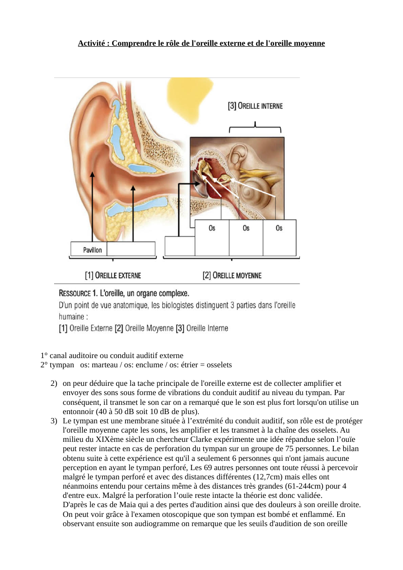 Prévisualisation du document Activité : Comprendre le rôle de l'oreille externe et de l'oreille moyenne
