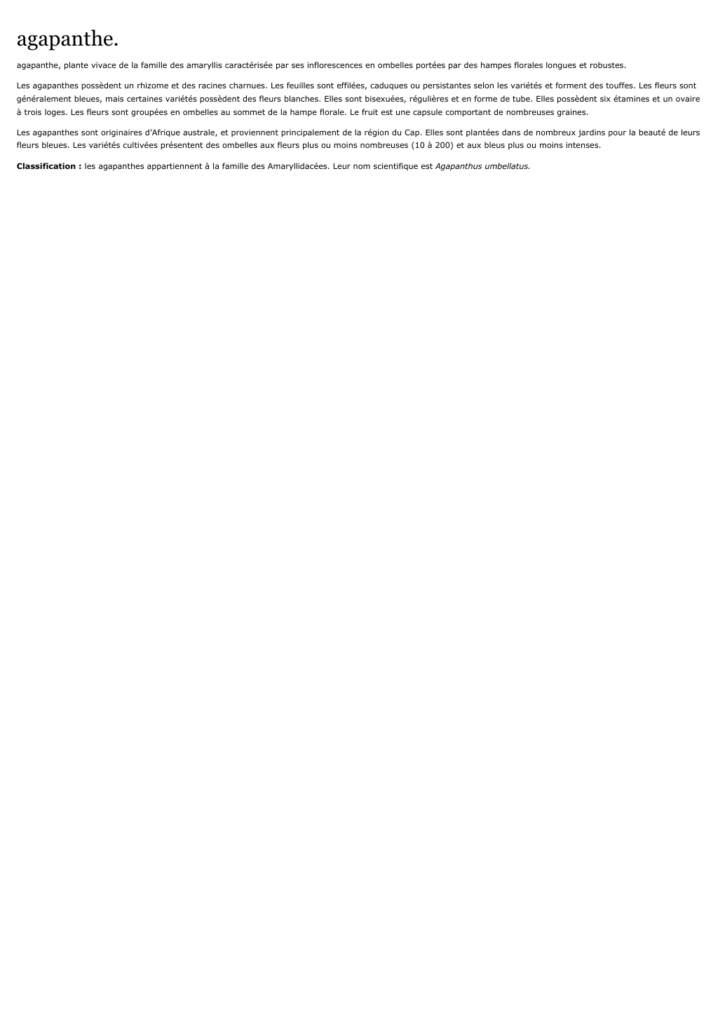 Prévisualisation du document agapanthe.