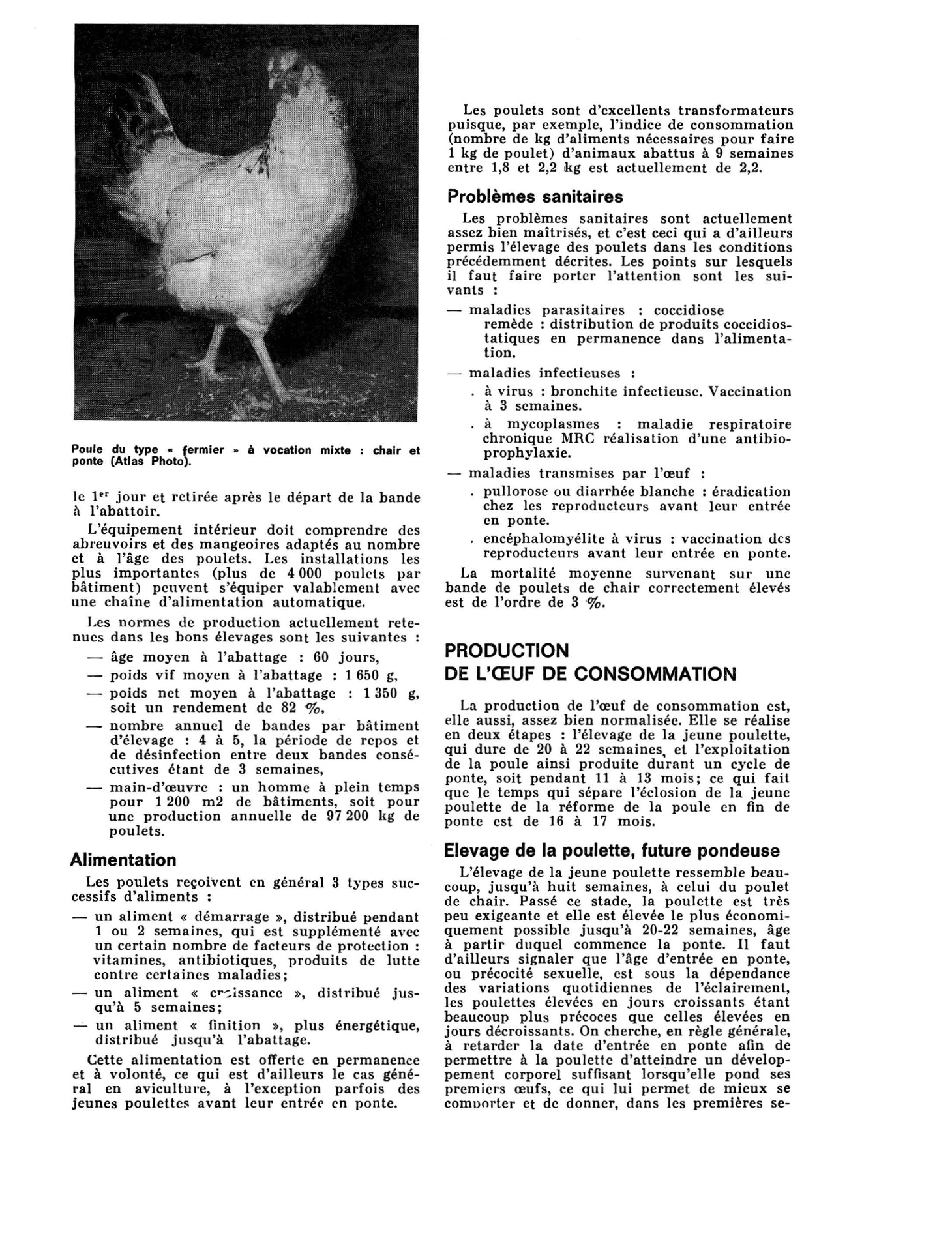 Prévisualisation du document AGRICULTURE, AVICULTURE, ZOOTECHNIE