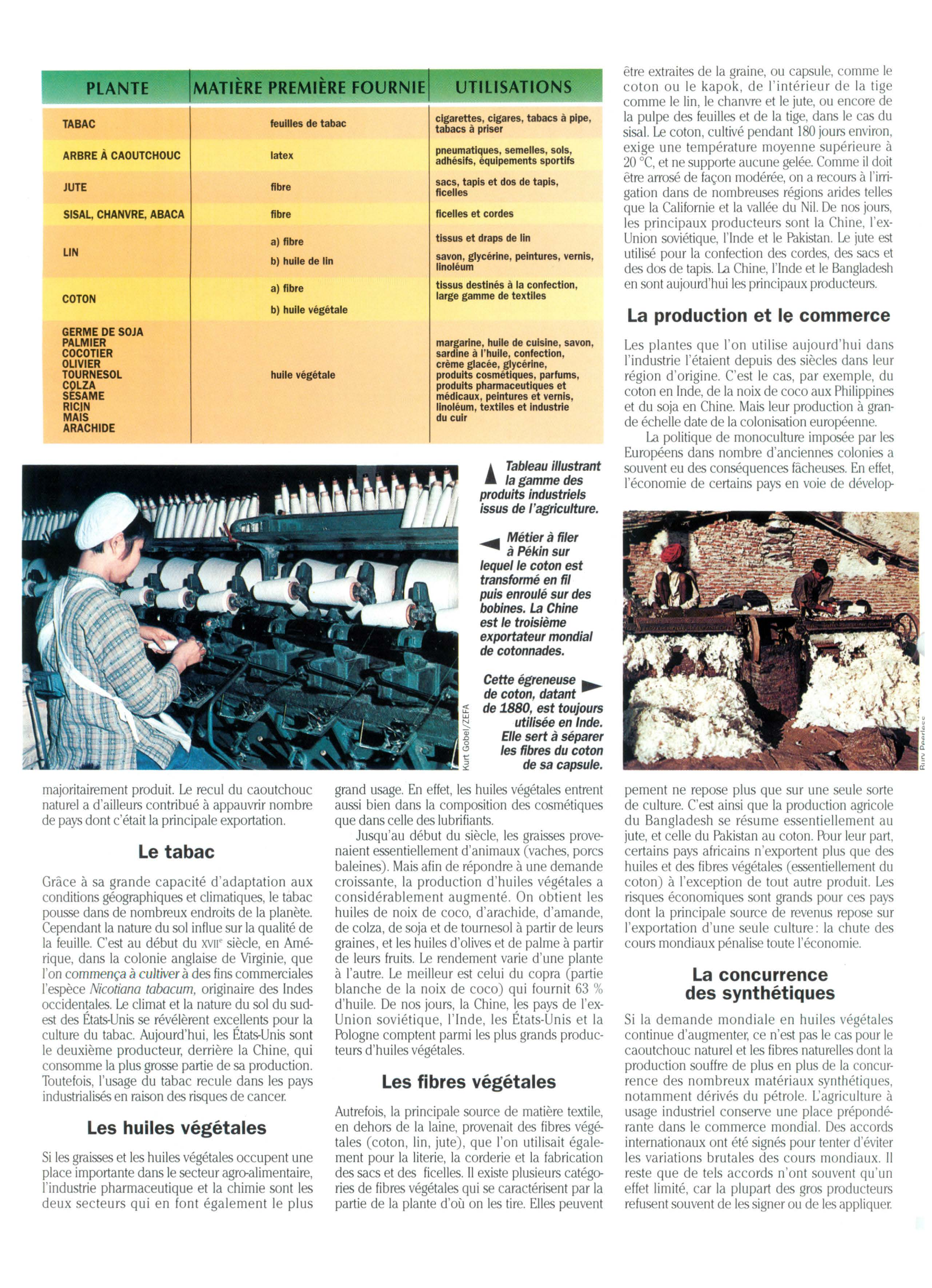 Prévisualisation du document Agriculture et Industrie