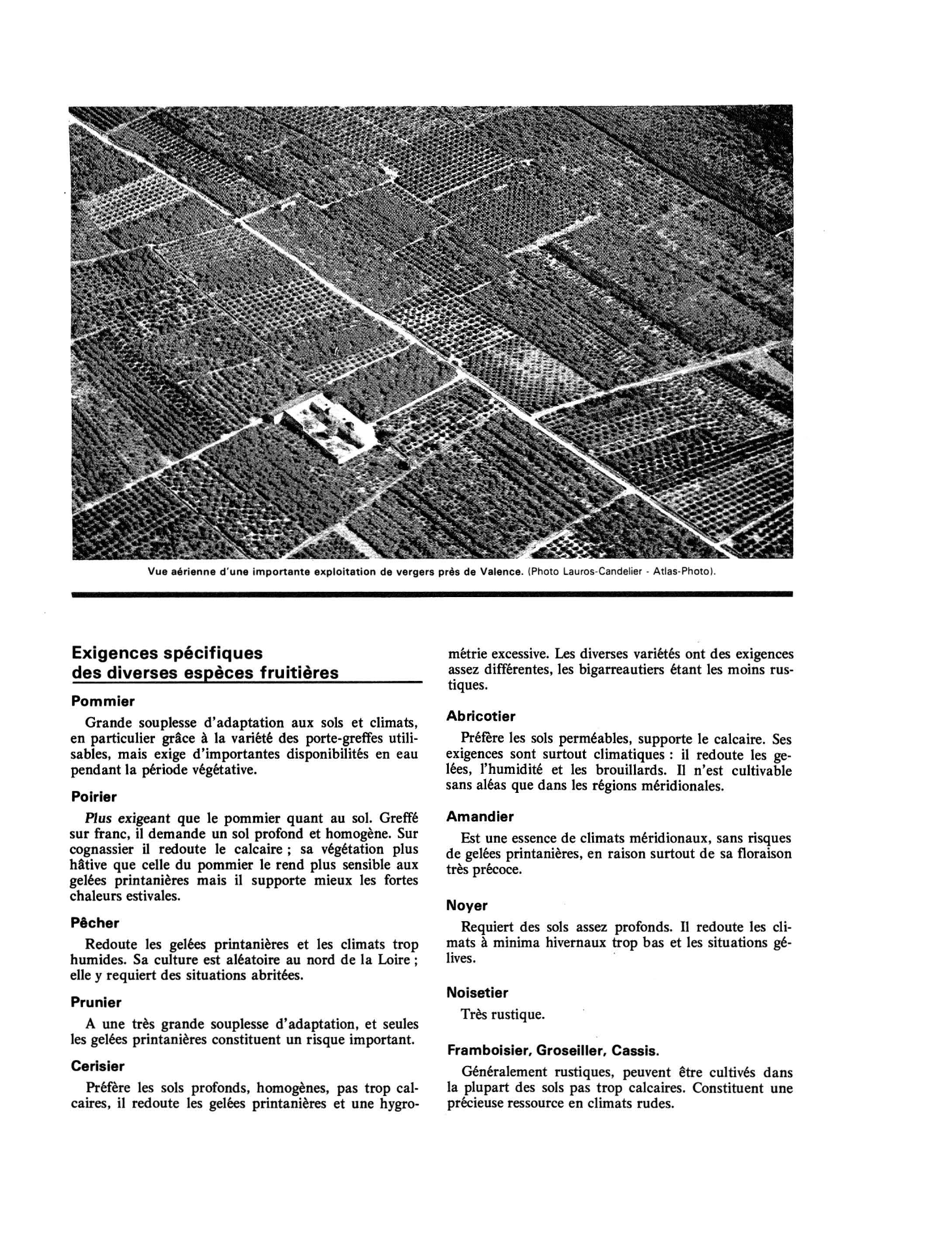 Prévisualisation du document AGRICULTURE : la culture fruitière