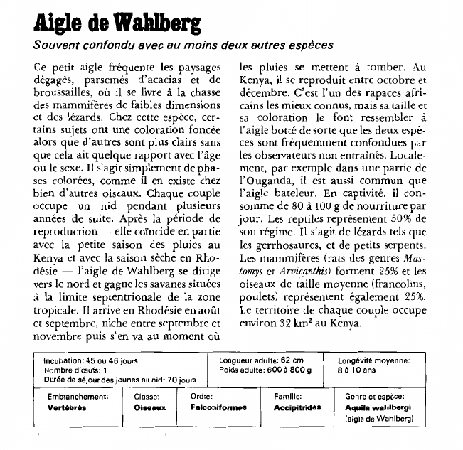 Prévisualisation du document Aigle de Wahlberg:Souvent confondu avec au moins deux autres espèces.