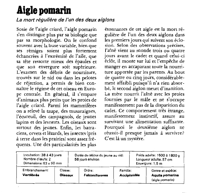 Prévisualisation du document Aigle pomarin:La mort régulière de l'un des deux aiglons.