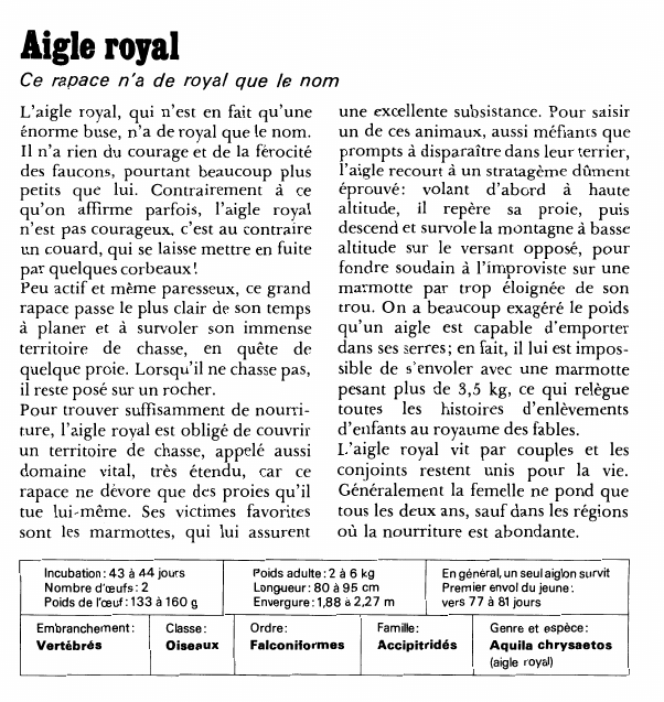 Prévisualisation du document Aigle royalCe rapace n'a de royal que le nomL'aigle royal, qui n'est en fait qu'une énorme buse, n'a de royal que le nom.