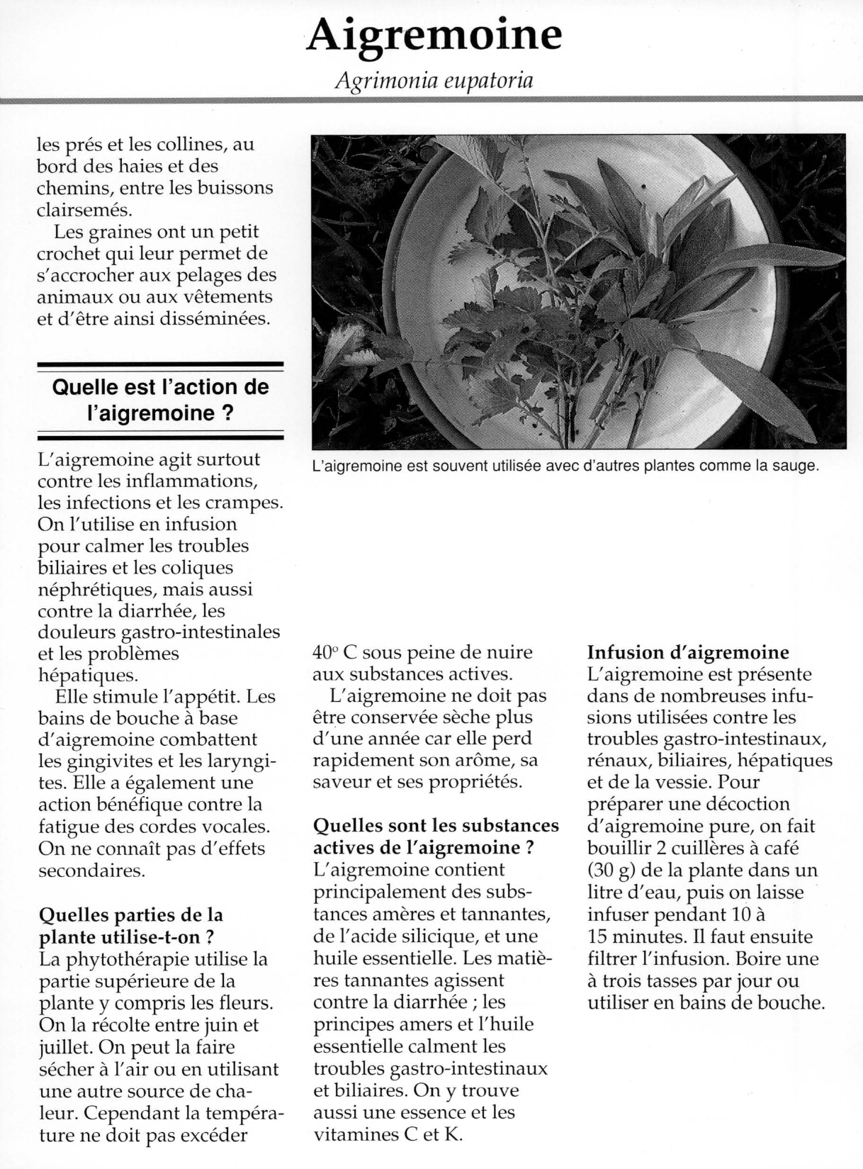 Prévisualisation du document Aigremoine.