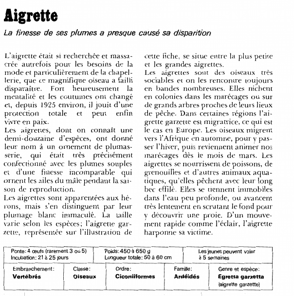 Prévisualisation du document Aigrette.
