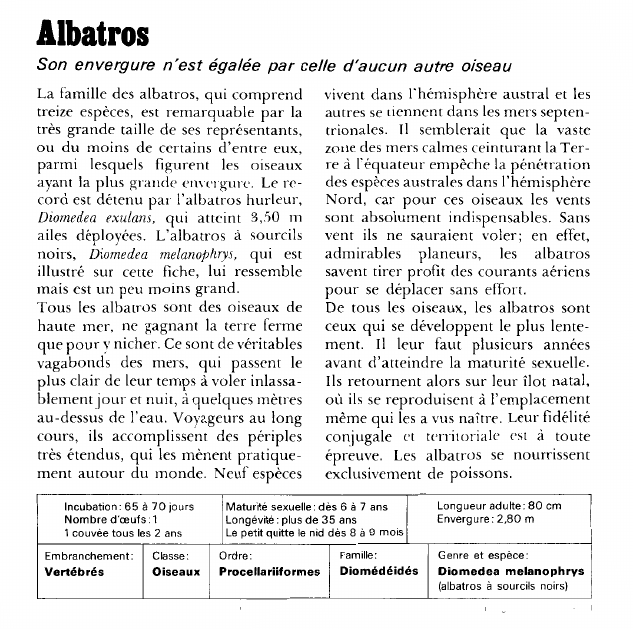 Prévisualisation du document Albatros:Son envergure n'est égalée par celle d'aucun autre oiseau.