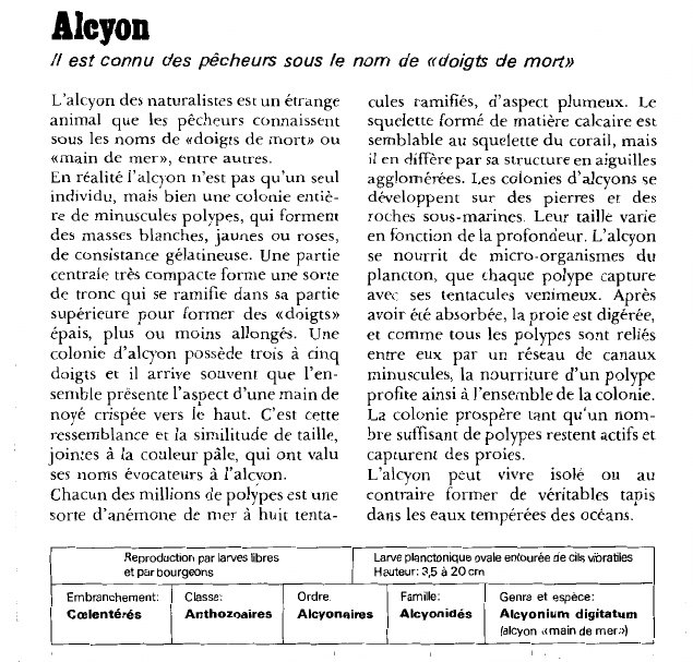 Prévisualisation du document Alcyon:Il est connu des pêcheurs sous le nom de «doigts de mort».