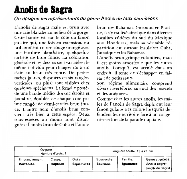 Prévisualisation du document Allais de Sagra:On désigne les représentants du genre Anolis de faux caméléons.