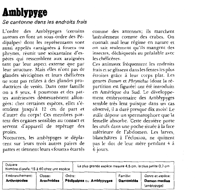 Prévisualisation du document AmblypygeSe cantonne dans les endroits frais.