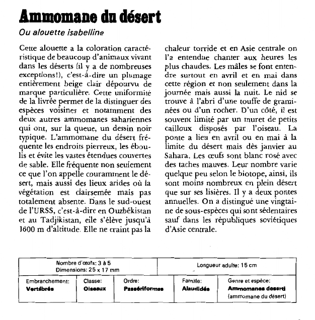Prévisualisation du document Ammomane du désert:Ou alouette isabelline.