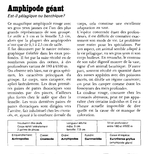 Prévisualisation du document Amphipode géant;Est-il pélagique ou benthique?