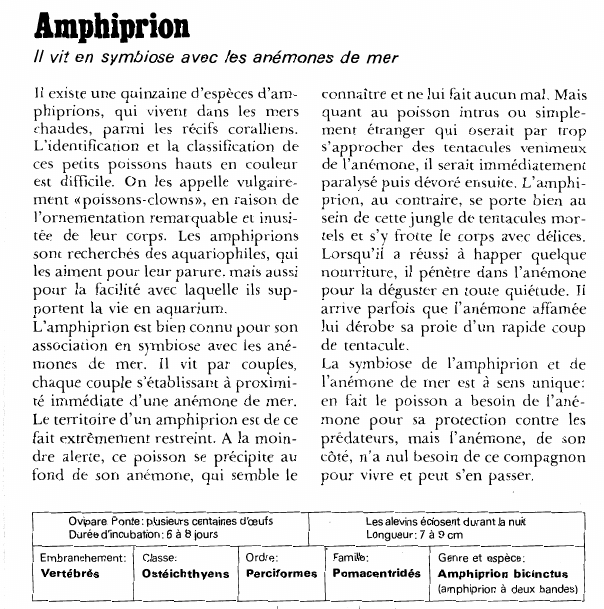 Prévisualisation du document Amphiprion:Il vit en symbiose avec les anémones de mer.