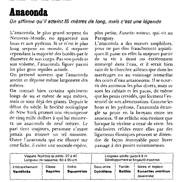 Prévisualisation du document Anaconda:On affirme qu'il atteint15 mètres de long, mais c'est une légende.