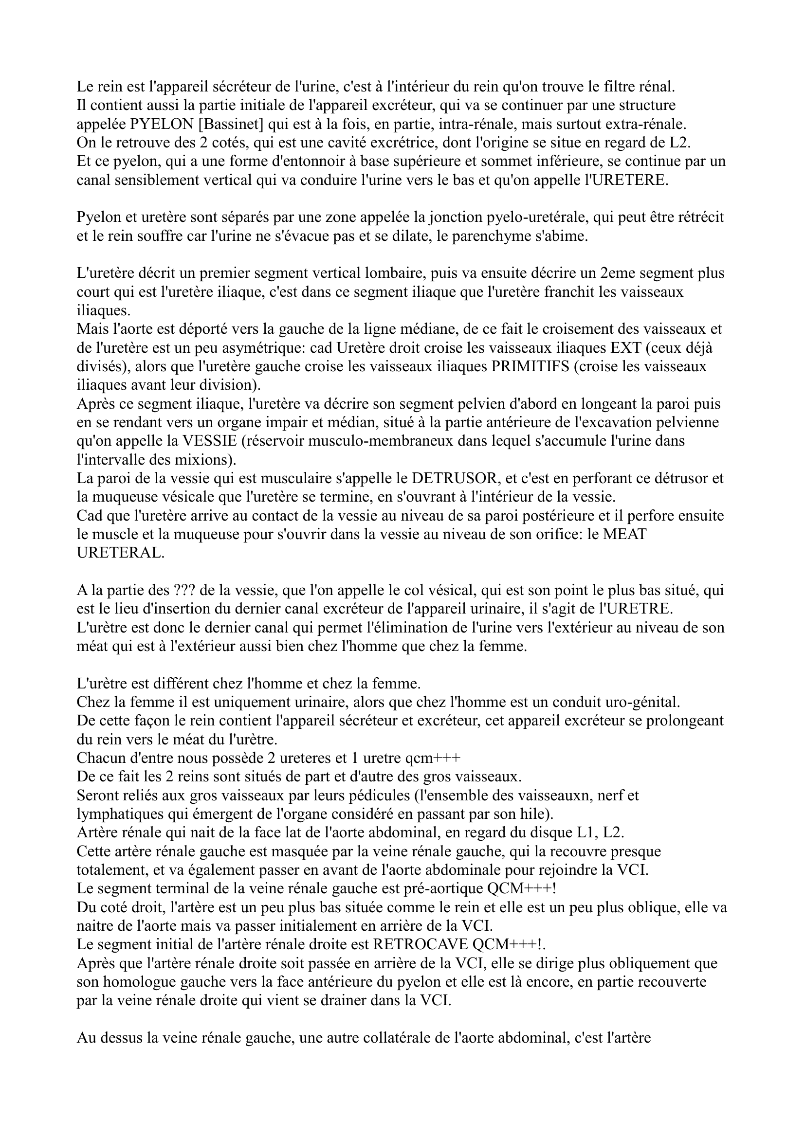 Prévisualisation du document ANATOMIE DE L'APPAREIL URINAIRE