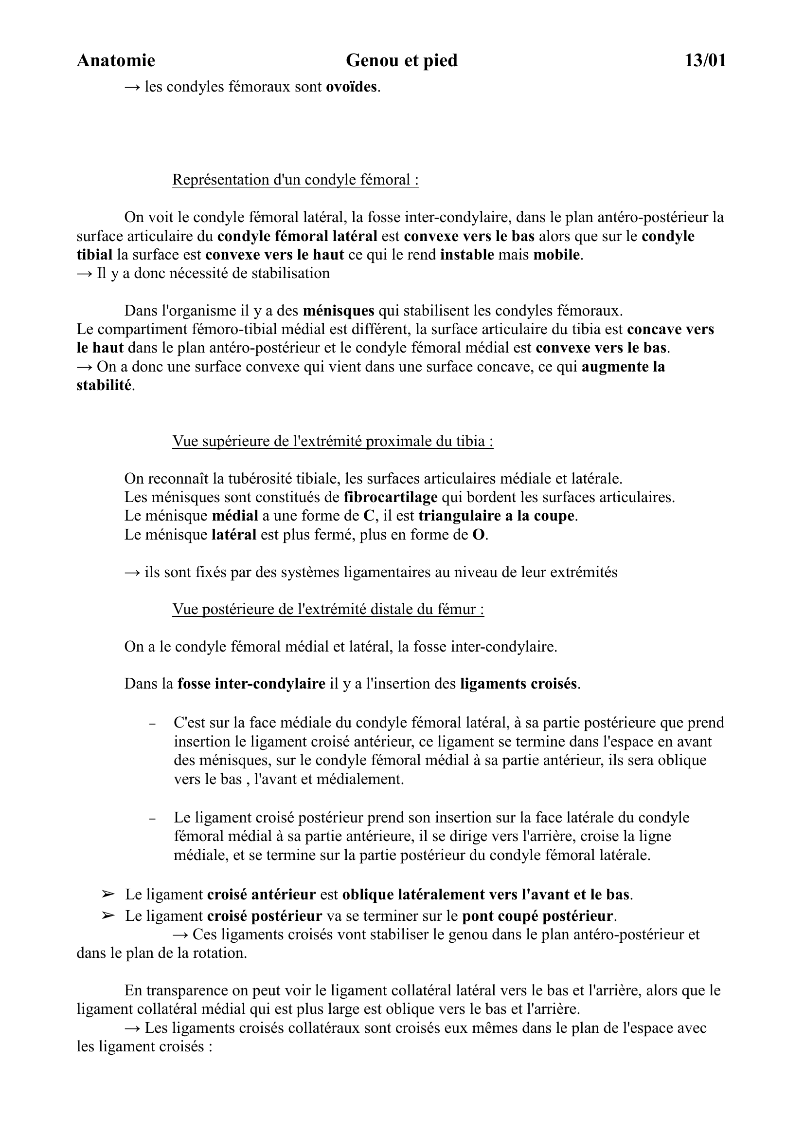 Prévisualisation du document Anatomie Genou et pied