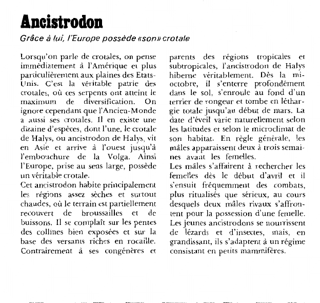 Prévisualisation du document Ancistrodon:Grâce à lui, l'Europe possède «son» crotale.