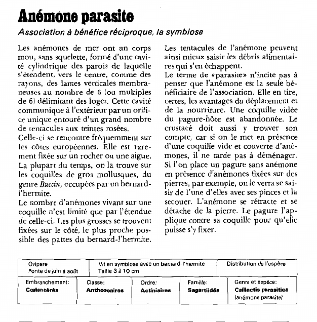 Prévisualisation du document Anémone parasite:Association à bénéfice réciproque, la symbiose.