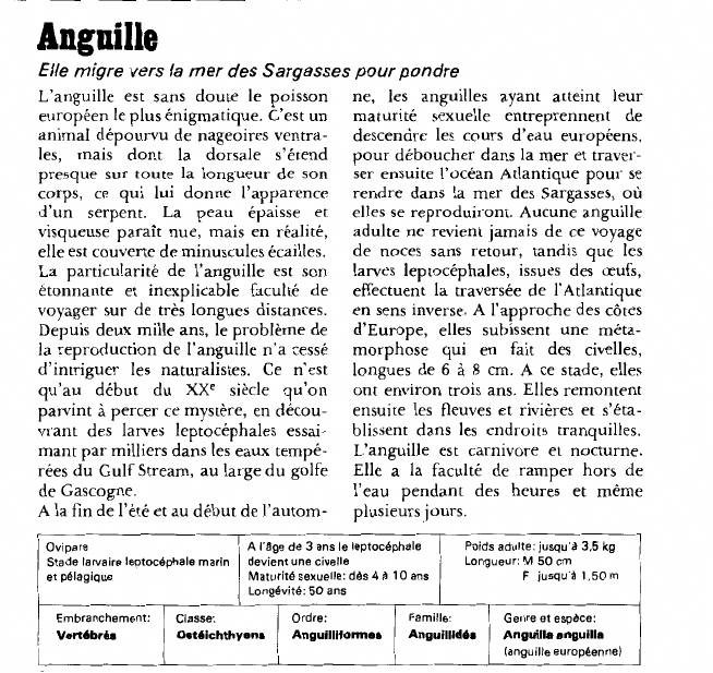 Prévisualisation du document Anguille:Elle migre vers la mer des Sargasses pour pondre.