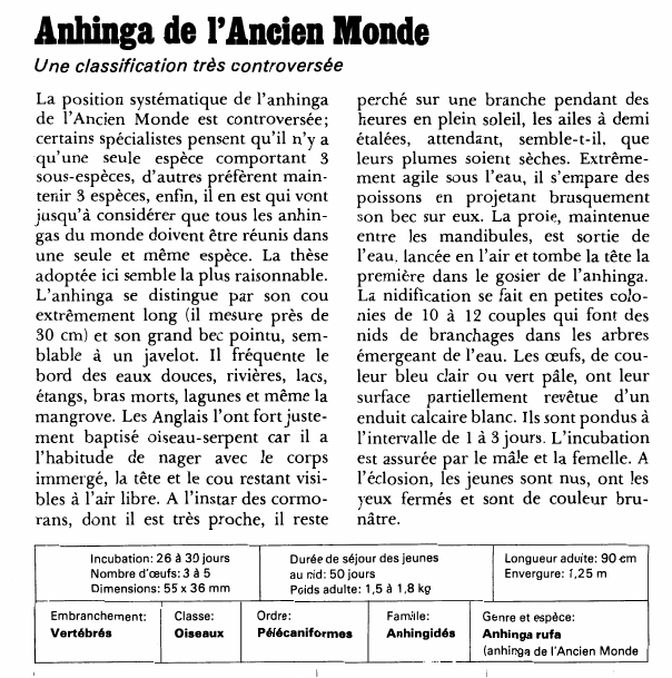 Prévisualisation du document Anhinga de l'Ancien Monde:Une classification très controversée.