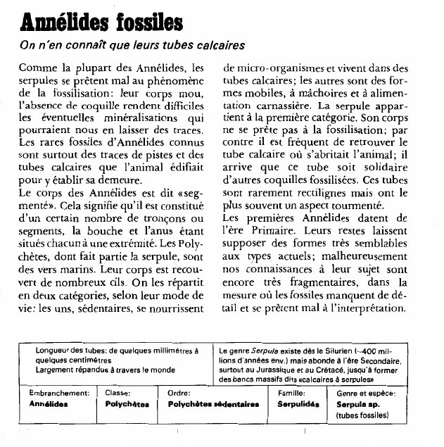 Prévisualisation du document Annélides fossiles:On n'en connaît que leurs tubes calcaires.