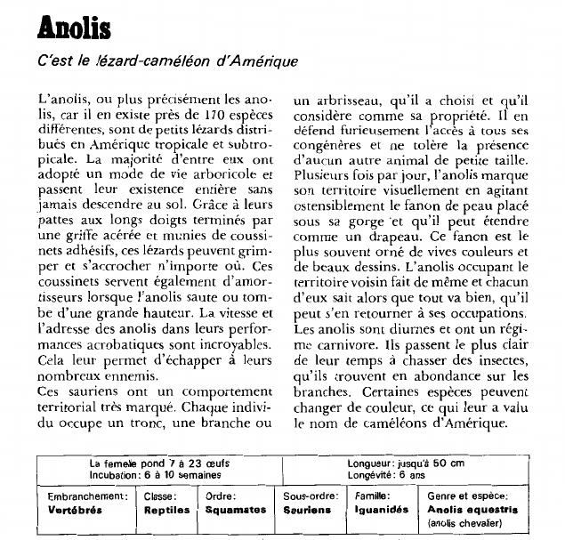 Prévisualisation du document Anolis:C'est le lézard-caméléon d'Amérique.