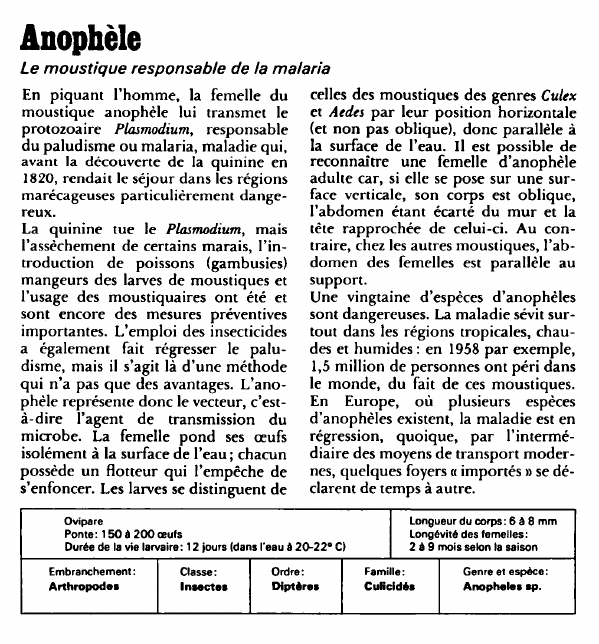 Prévisualisation du document Anophèle:Le moustique responsable de la malaria.