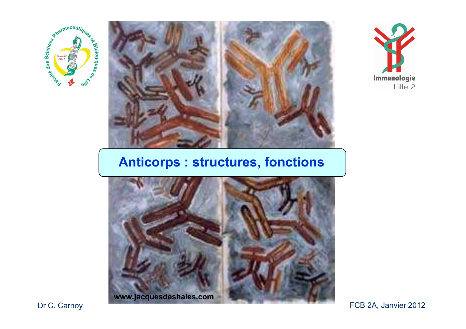 Prévisualisation du document Anticorps : structures, fonctionswww.