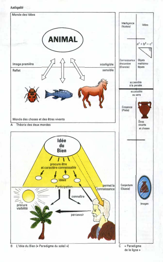 Prévisualisation du document Antiquité
Monde des Idées
lntellillence
(Noémi

Idées

a'+b2=c'

Image première

intelligible
sensible

Reflet

Connaissance
discursive
(Dianoiat

Objets
mathéma­
tiques

1cceuibla...