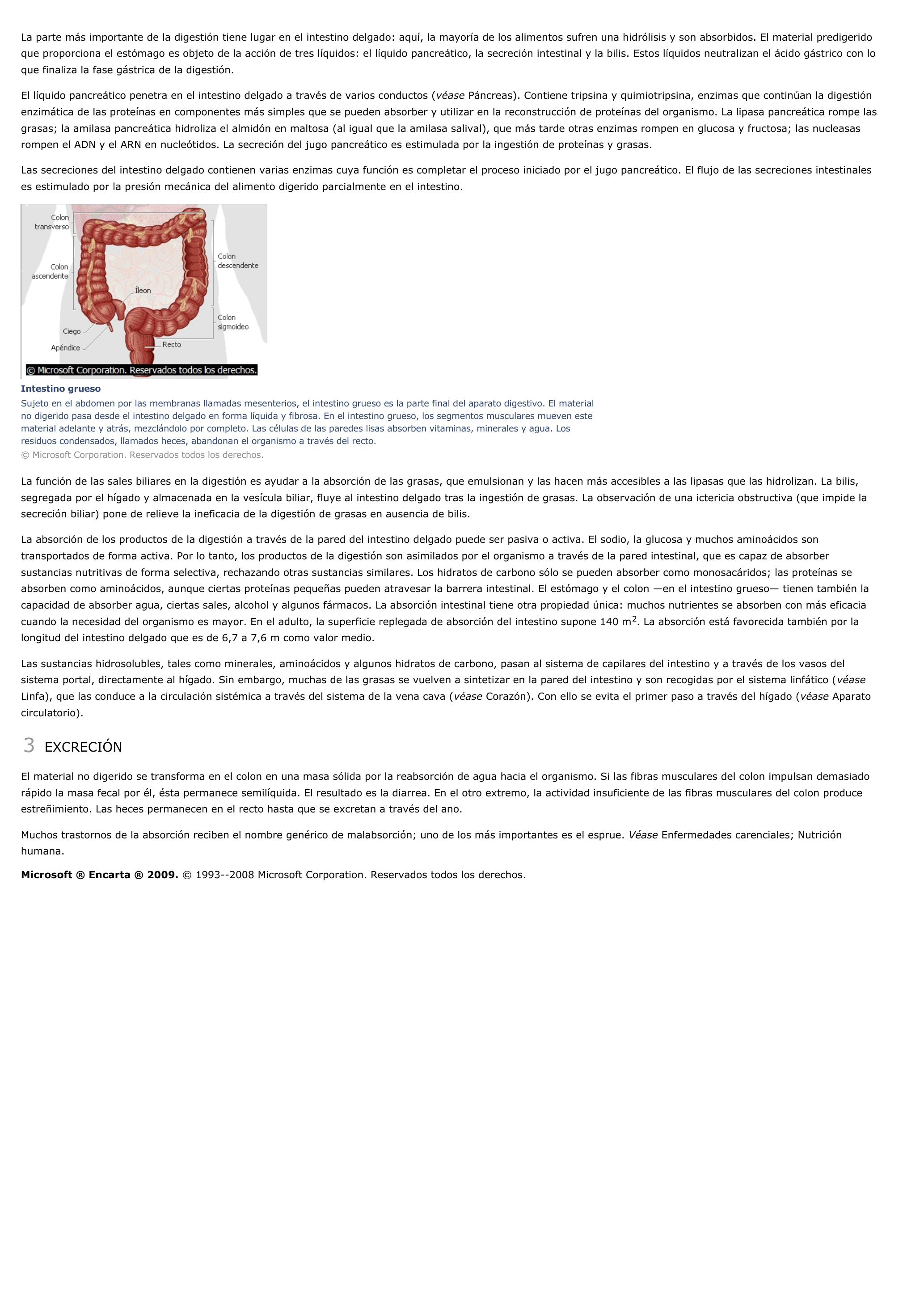 Prévisualisation du document Aparato digestivo - ciencias de la naturaleza.