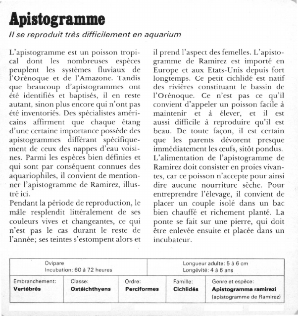 Prévisualisation du document Apistogramme:Il se reproduit très difficilement en aquarium.