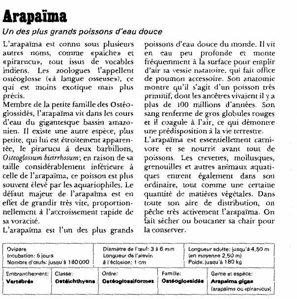 Prévisualisation du document Arapaima:Un des plus grands poissons d'eau douce.