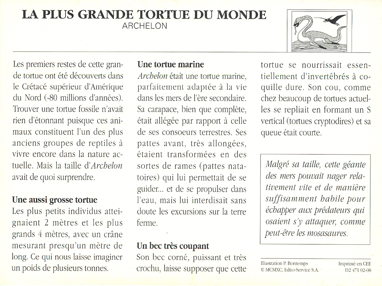 Prévisualisation du document ARCHELON