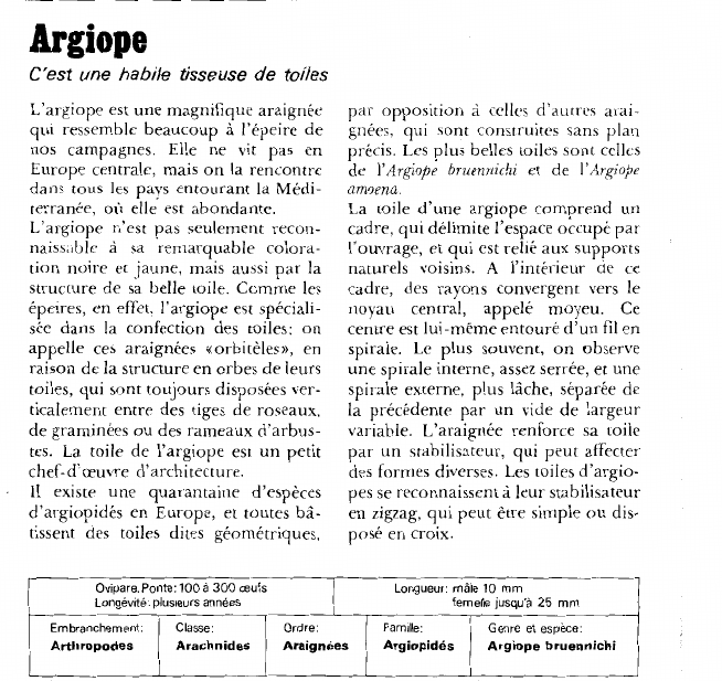 Prévisualisation du document Argiope:C'est une habile tisseuse de toiles.