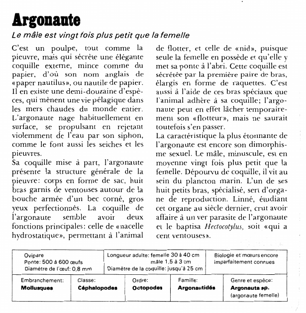 Prévisualisation du document Argonaute:Le mâle est vingt fois plus petit que la femelle.