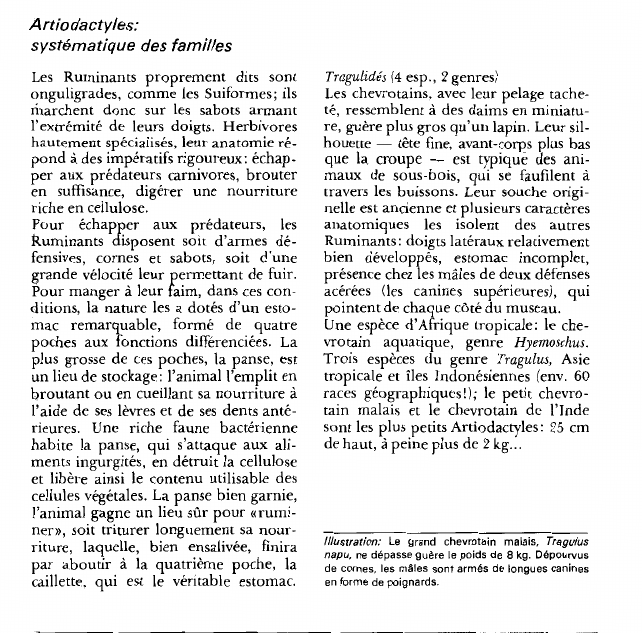 Prévisualisation du document Artiodactyles:systématique des familles.