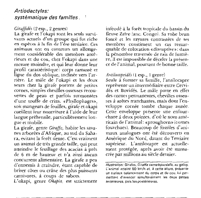 Prévisualisation du document Artiodactyles:systématique des familles.