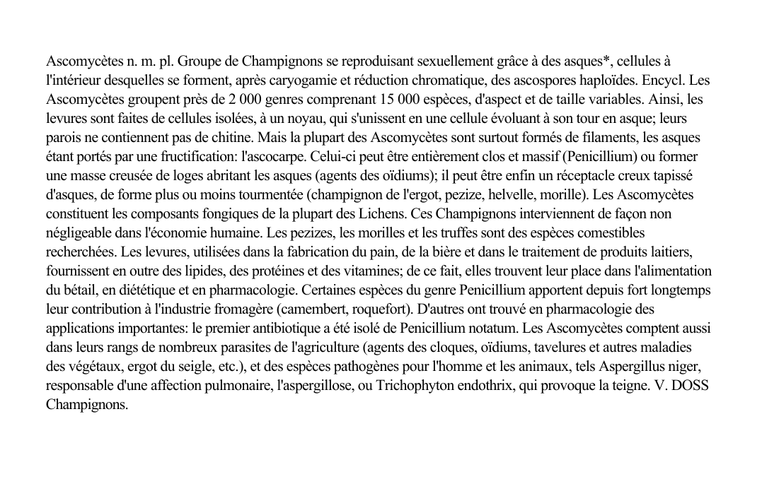 Prévisualisation du document Ascomycètes n.
