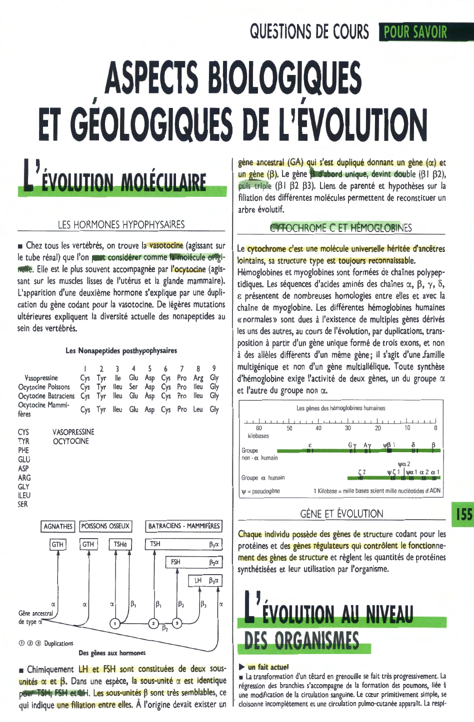 Prévisualisation du document ASPECTS BIOLOGIQUES ET GÉOLOGIQUES DE L'ÉVOLUTION