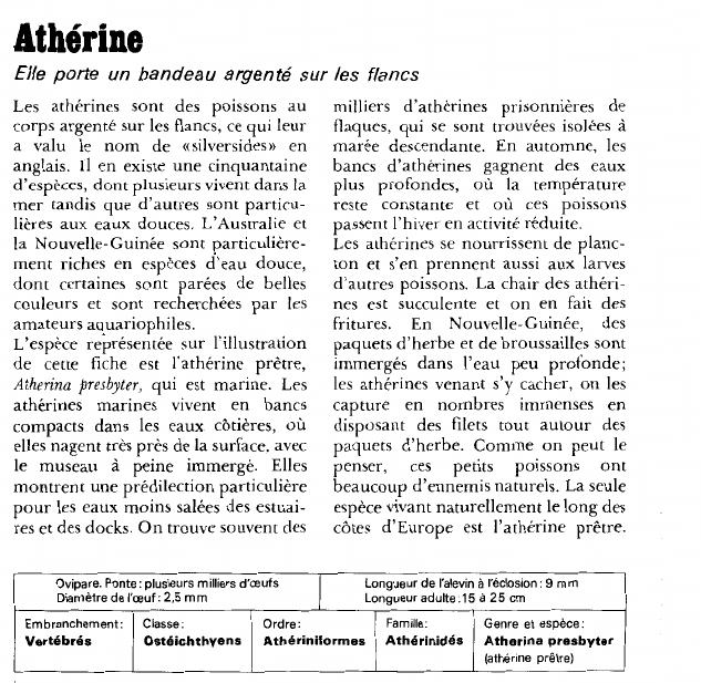 Prévisualisation du document Athérine.