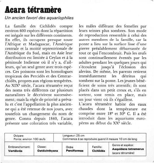 Prévisualisation du document Aura tétramère:Un ancien favori des aquariophiles.