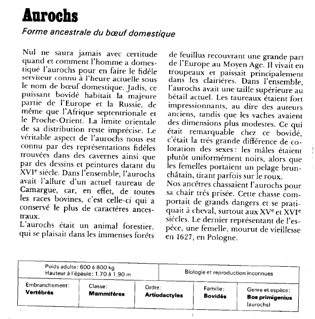 Prévisualisation du document Aurochs:Forme ancestrale du boeuf domestique.