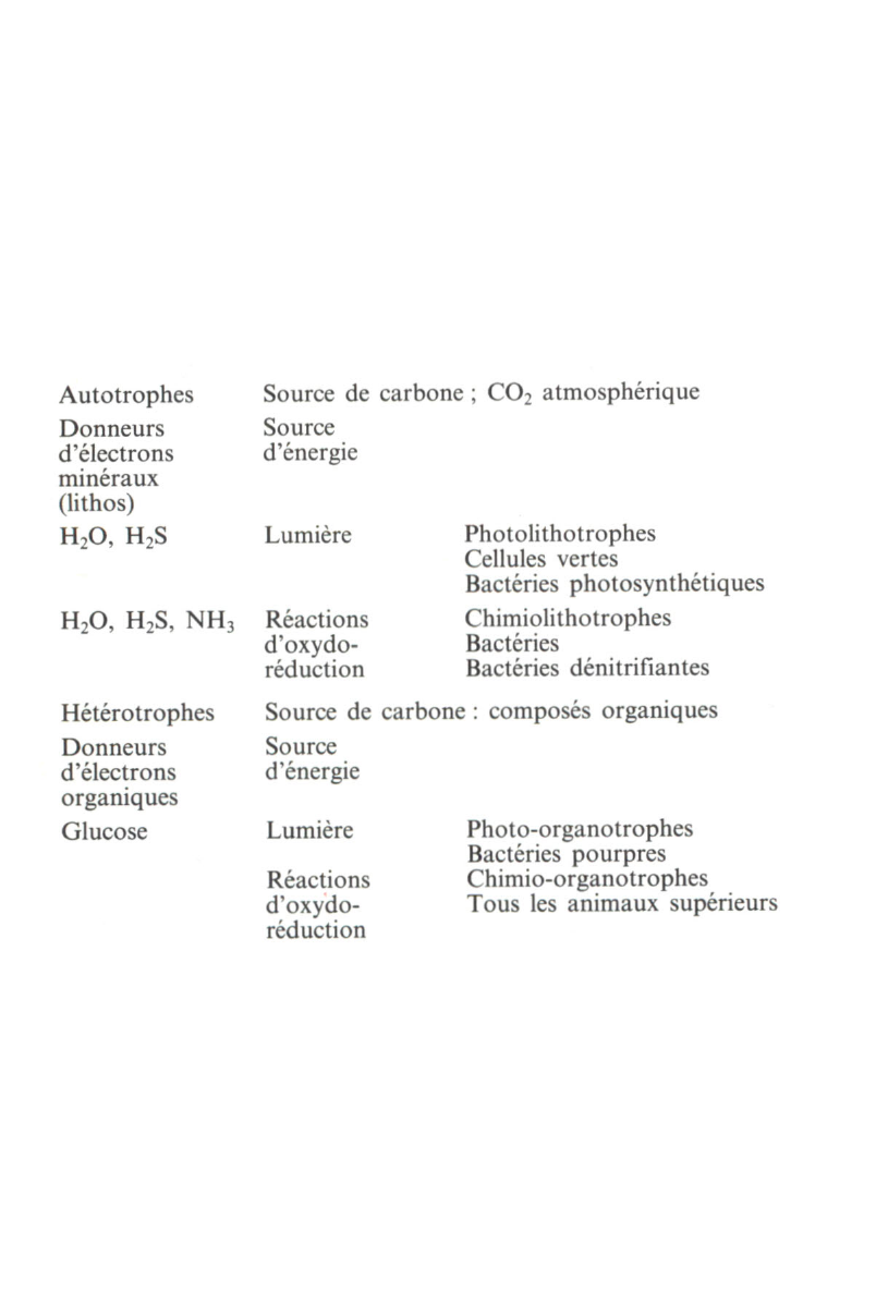 Prévisualisation du document AUTOTROPHIE - HÉTÉROTROPHIE